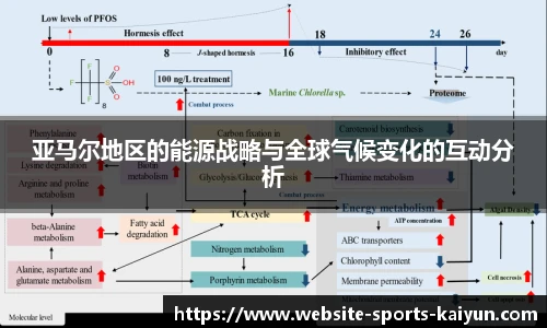 亚马尔地区的能源战略与全球气候变化的互动分析